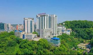 2024最火的微信图片 2024最火的微信图片